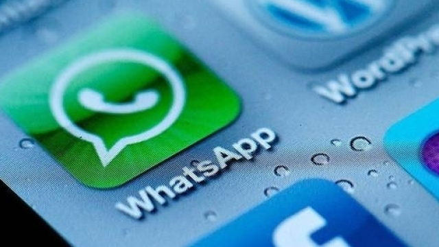 Whatsapp anche senza connessione Internet: tutte le novit&agrave;