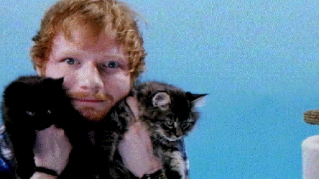 Which One Of Ed Sheeran's Tattoos Are You Though? | Playbuzz - playbuzz.com