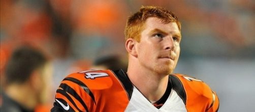 Andy Dalton: An Average QB on an Above Average Team &mdash; NFL &mdash; The ... - thesportsquotient.com
