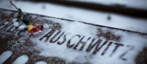 Auschwitz survivors mark Int'l Holocaust Remembrance Day[1 ... - com.cn