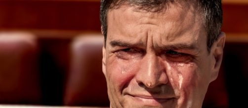 Pedro S&aacute;nchez se derrumba y reconoce que es un actor - viralizzer.com