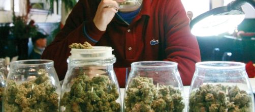 Weed Dispensary &ndash; SBDC - sbdc-evanston.org