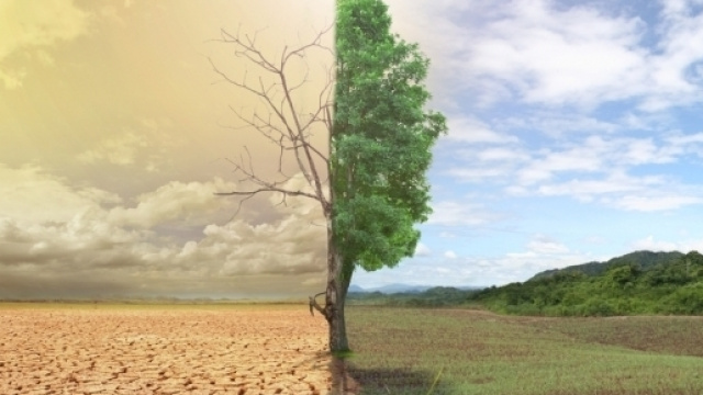 Climate Change Is Real. Too Bad Accurate Climate Models Aren't. - thefederalist.com