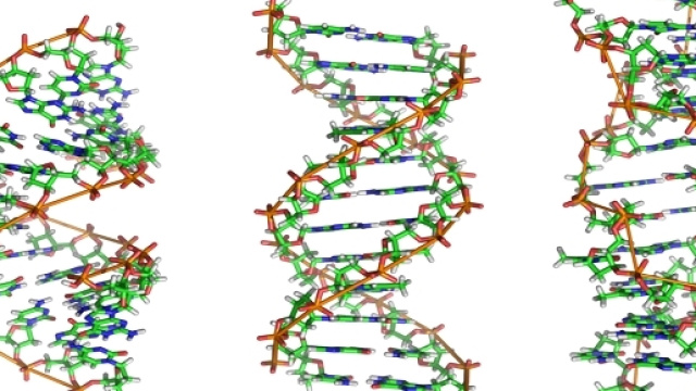 DNA, come influisce sui social