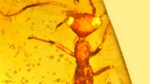 E.T. &egrave; vissuto sulla Terra 100 milioni di anni fa, era un insetto senz'ali