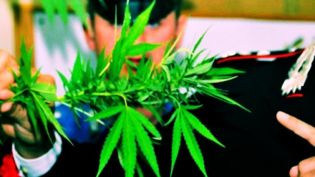 La marijuana &egrave; stata recuperata dai Carabinieri.