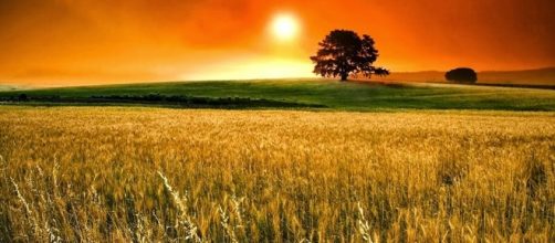 A import&acirc;ncia da filosofia e do filosofar na sociedade atual