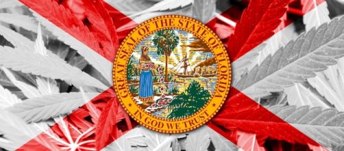 Analysis of Florida's Amendment 2 Medicinal Cannabis Law | Canna ... - cannamagazine.com