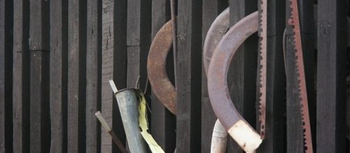 Image via Flickr by Willard / CC BY-NC-ND 2.0