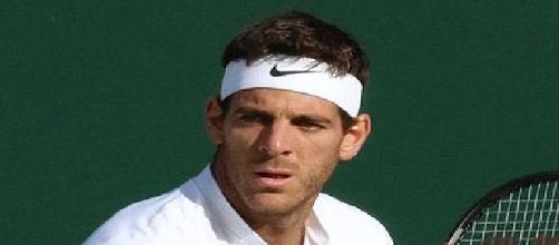 Juan Martin del Potro (Credit: si.robi - wikimedia.org)