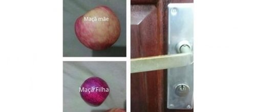 O tipo de coisa que voc&ecirc; ri chorando