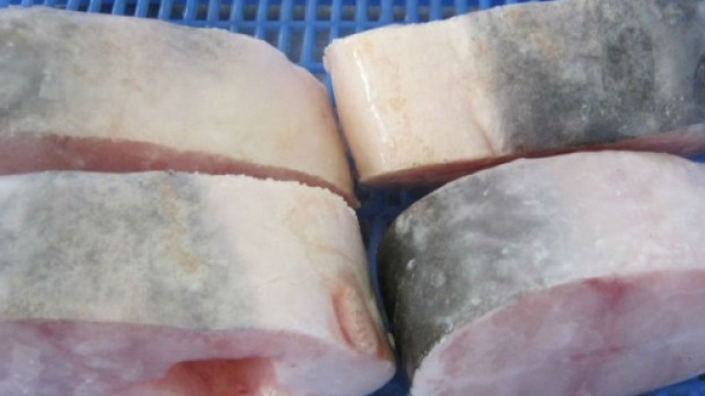 Pesce pangasio/pesce pangasio congelato/pesce basa/frutti di mare ... - alibaba.com