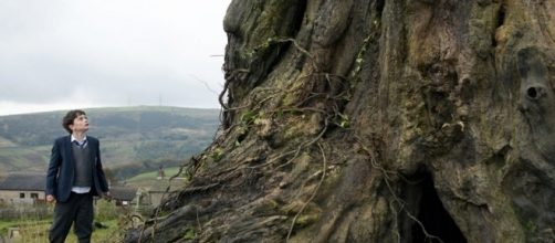 Box Office 2016: Foreign-Language Hits of the Year | Hollywood ... - hollywoodreporter.com