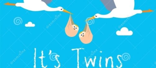 Stork delivering twin boys - www.dreamstime.com