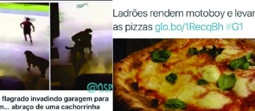 4 hist&oacute;rias de crimes hil&aacute;rio que voc&ecirc; n&atilde;o vai acreditar