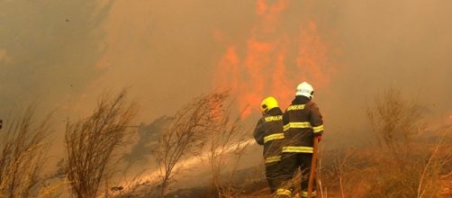 Chile recibe ayuda de otros pa&iacute;ses para luchar contra los incendios