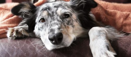 RichardBarrettJolley (@RichardBJ1) | Twitter - twitter.com