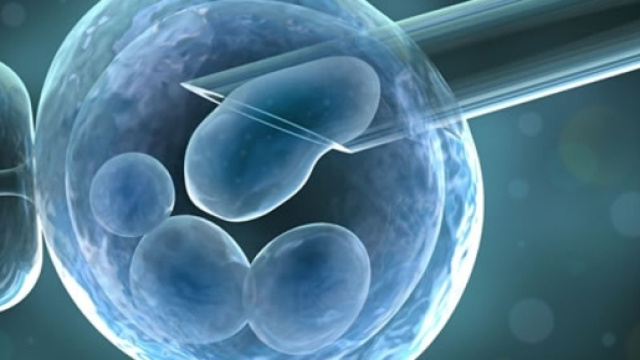 Cellule staminali del cordone ombelicale utilizzate per trattare ... - cellulestaminalicordoneombelicale.it