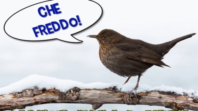 Le leggende dei Giorni della Merla
