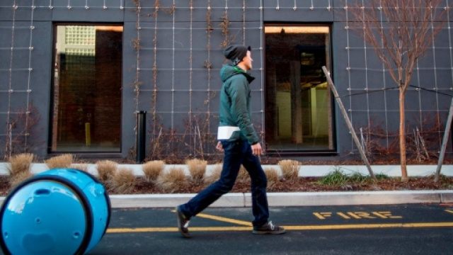 Gita segue ovnque portando la spesa o gli attrezzi da lavora