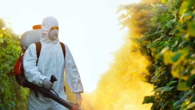 Un terzo dei prodotti agricoli in Italia contiene pesticidi