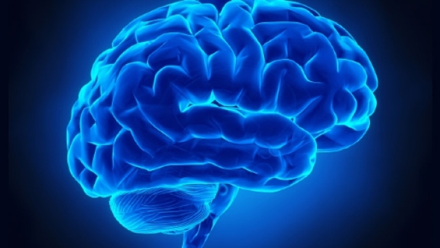 Il nostro cervello non smette mai di crescere.