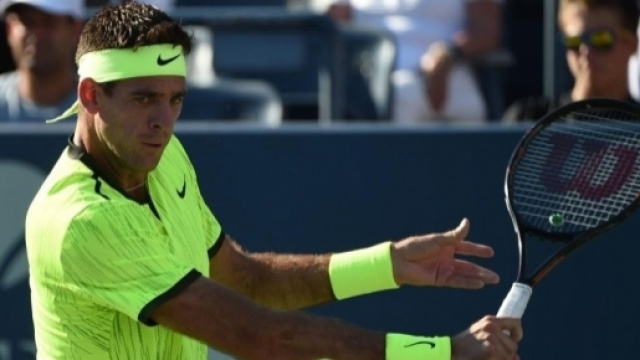 Juan Martin Del Potro bat David Ferrer en trois sets - US Open ... - eurosport.fr