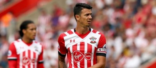SOUTHAMPTON FC | First Team - Jos&eacute; Fonte - Defender - southamptonfc.com