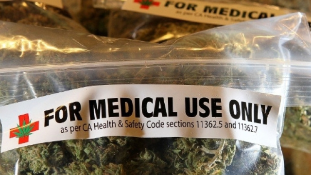 Cannabis per uso terapeutico made in Italy