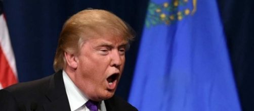 A Primatologist Explains the Gentler Donald Trump -- Science of Us - nymag.com