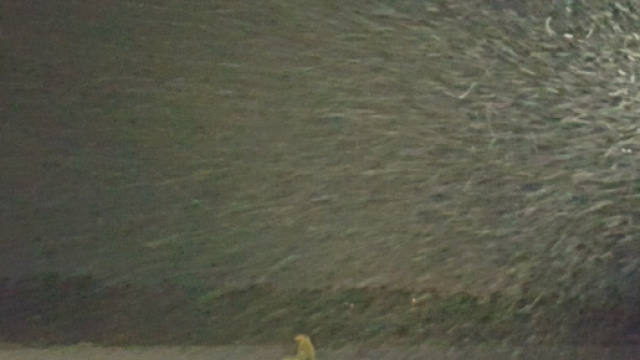 Ancora neve sulla penisola salentina.