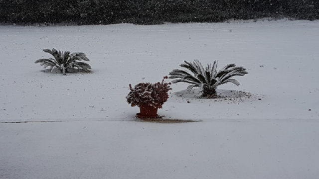 Salento completamente innevato.