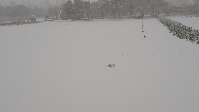 Un campo innevato in provincia di Lecce.