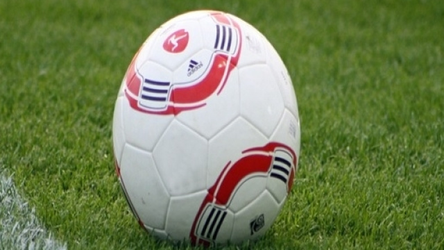 Un pallone da calcio su un terreno da gioco