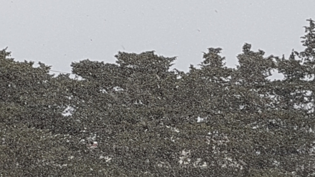 Ancora neve sulla penisola salentina.