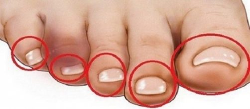 segundo a pesquisa, se uma pessoa consegue tocar os p&eacute;s em uma determinada posi&ccedil;&atilde;o, ela est&aacute; com a sa&uacute;de do cora&ccedil;&atilde;o em dia.