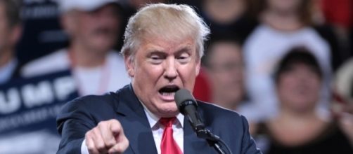 Twitter | Sections | The Daily Dot - dailydot.com