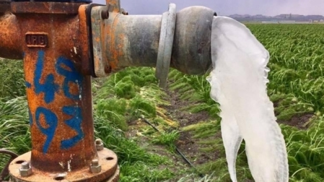 Freddo polare, pronto lo stato di calamit&agrave;.