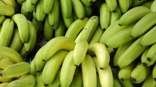 Le banane acerbe, ricche fonti di fibre solubili che riducono la fame