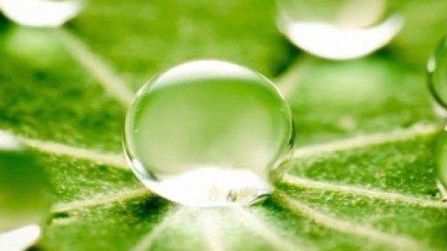 oligoelementi per il benessere dell'organismo