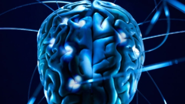 Il cervello umano non arresta mai la sua crescita.