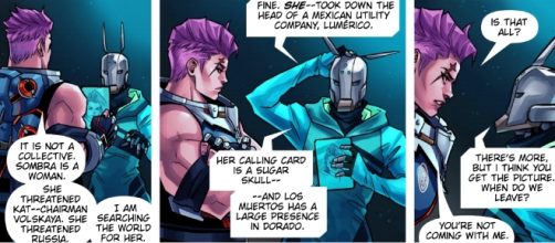 Lynx Seventeen is gender neutral. Image Credit: Blizzard Entertainment