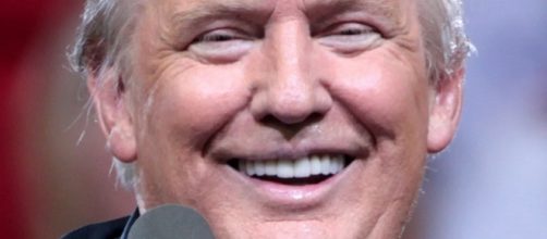 President Donald Trump [Image via Gage Skidmore flickr]