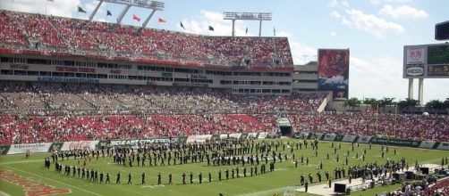 USF is on the right track. Bruno Ariella via Wikimedia Commons