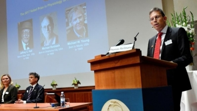 Nobel de m&eacute;decine: des sp&eacute;cialistes am&eacute;ricains de l'horloge ... - rfi.fr