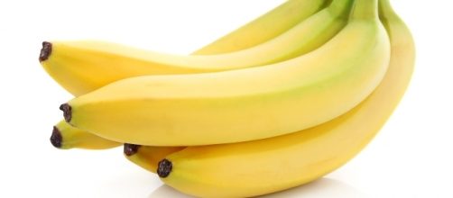 The Cavendish cultivar makes up 95 percent of all global banana exports. [Image via Pixabay]