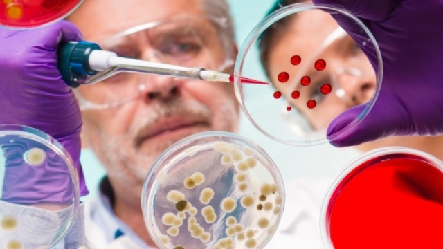 Batteri resistenti agli antibiotici, minaccia peggiore del ... - panorama.it