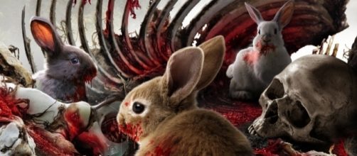 Tony Jopia is the creator of horror-comedy film &lsquo;Cute Little Buggers'. / Photo via Clint Morris, October Coast PR, used with permission.