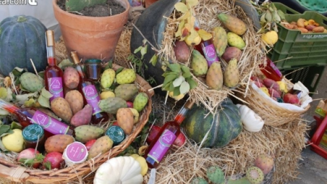 SAGRA FICODINDIA - assarca.com