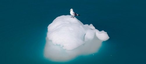 Fundaci&oacute;n Telef&oacute;nica (@fundacionTef) | Twitter - twitter.com